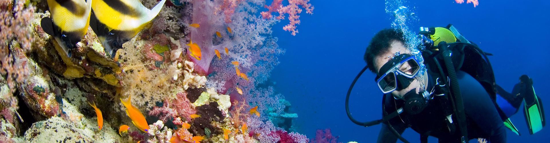 North Wrecks - Ras Mohamed - Straits of Tiran